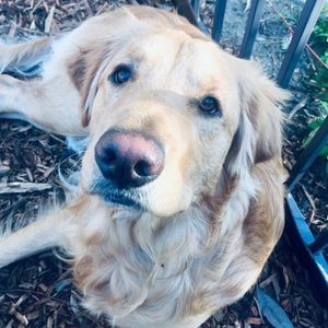 Meet your Posher, Penny